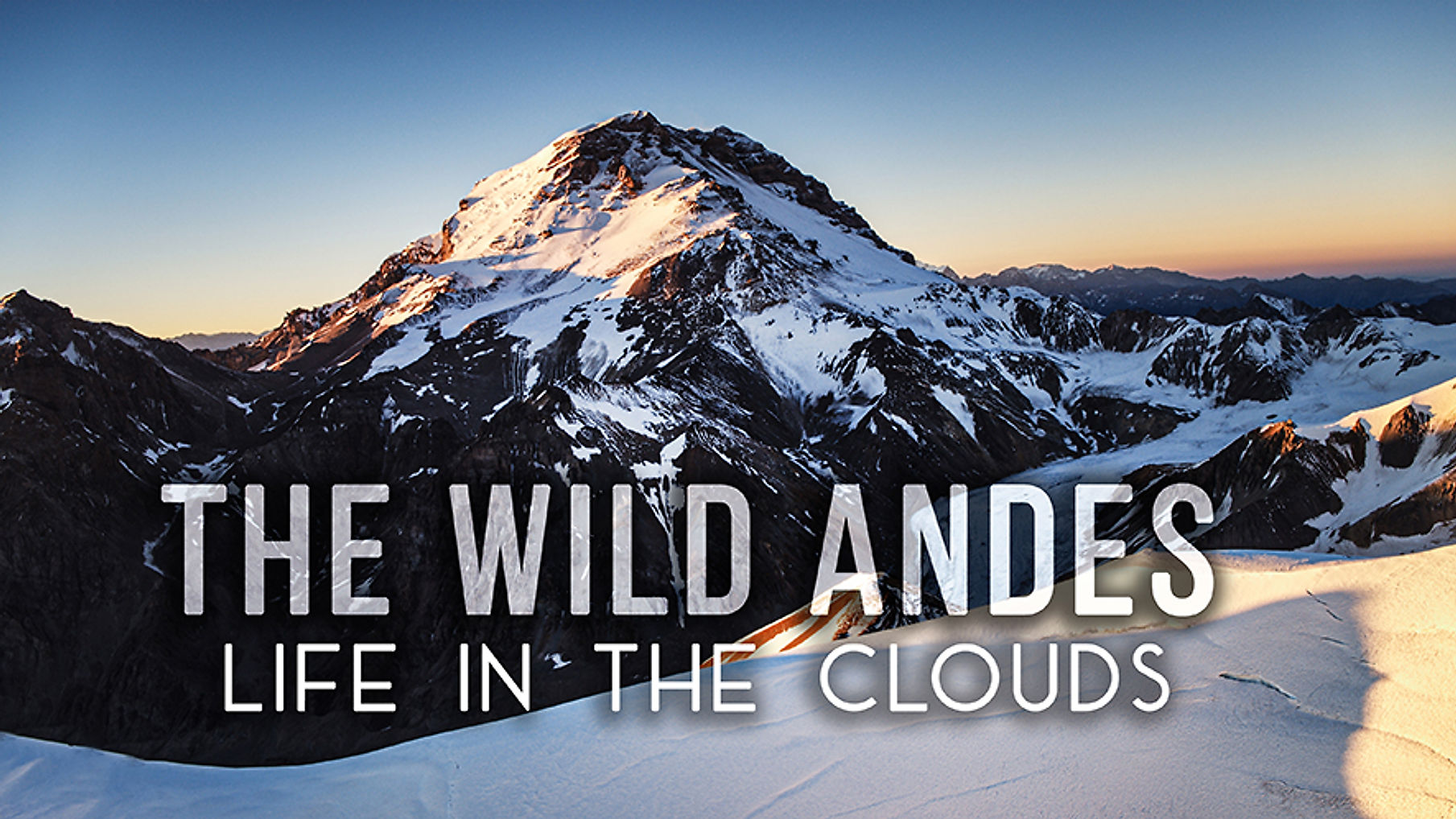 The Wild Andes - Life in the Clouds